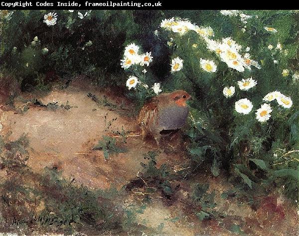 bruno liljefors Partridge with Daisies
